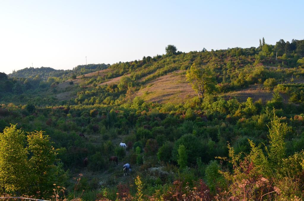Apartments Fairy Land Rakovica Eksteriør billede