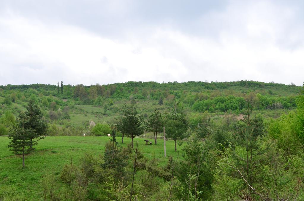 Apartments Fairy Land Rakovica Eksteriør billede