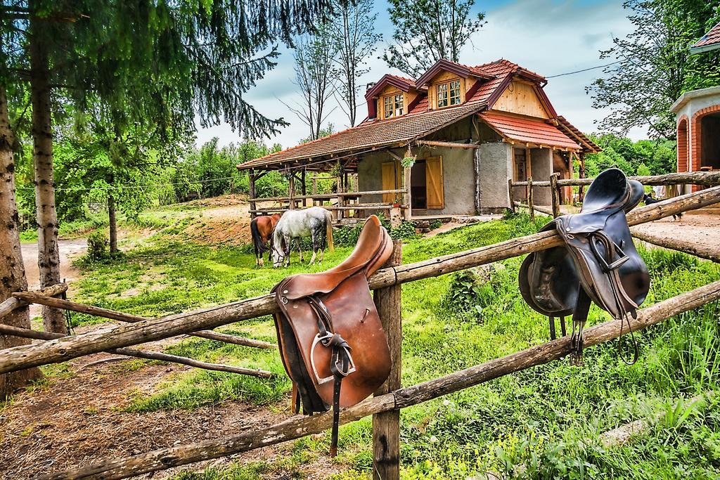 Apartments Fairy Land Rakovica Eksteriør billede