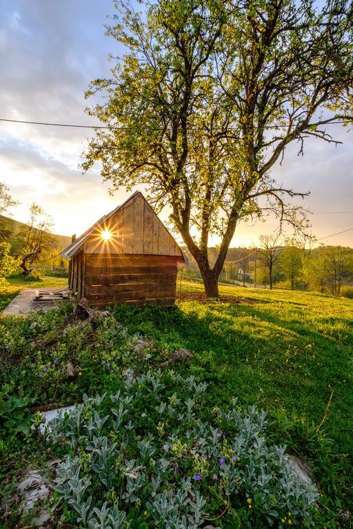 Apartments Fairy Land Rakovica Eksteriør billede